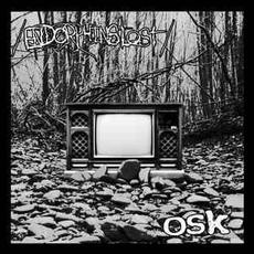 Endorphins Lost & OSK mp3 Album by Endorphins Lost