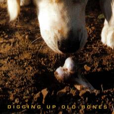 Digging Up Old Bones mp3 Album by Boize