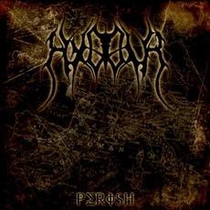 Perish mp3 Album by Hymir