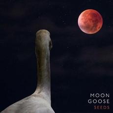 Seeds mp3 Album by Moon Goose