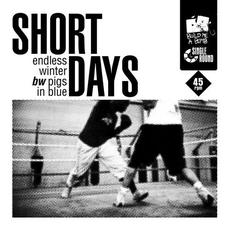 Single Round Volume 1: Endless Winter Bw Pigs in Blue mp3 Single by Short Days