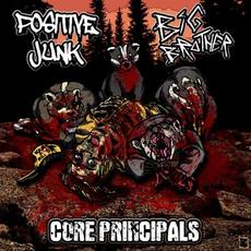Core Principals mp3 Compilation by Various Artists