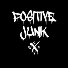 Positive Junk mp3 Album by Positive Junk