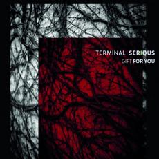 Gift For You mp3 Album by Terminal Serious