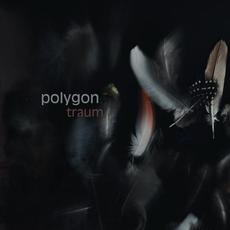 Traum mp3 Album by Polygon