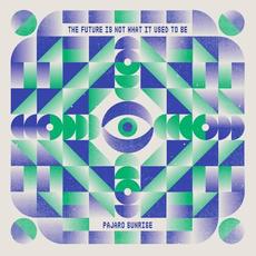 The Future Is Not What It Used To Be mp3 Album by Pajaro Sunrise