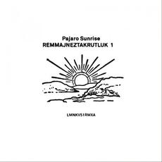 Remmajneztakrutluk, Vol. 1 mp3 Album by Pajaro Sunrise