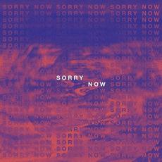 Sorry Now mp3 Single by A R I Z O N A