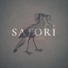 Satori mp3 Single by Golden Apes