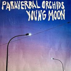 Paraverbal Orchids mp3 Album by Young Moon
