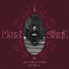 In The Midst of You mp3 Album by Brad Stank
