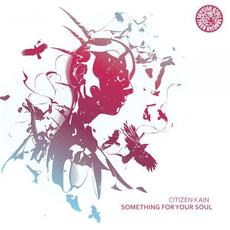 Something For Your Soul mp3 Single by Citizen Kain