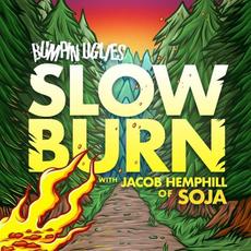 Slow Burn mp3 Single by Soldiers Of Jah Army