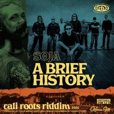 A Brief History mp3 Single by Soldiers Of Jah Army