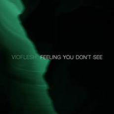 Feeling You Don't See mp3 Album by Vioflesh
