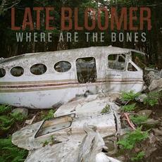 Where Are the Bones mp3 Single by Late Bloomer