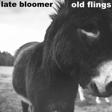 split w. Old Flings mp3 Single by Late Bloomer