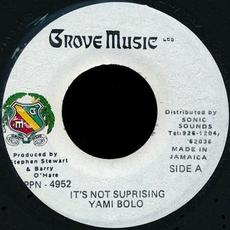 It's Not Suprising mp3 Single by Yami Bolo