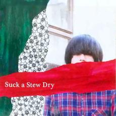 #2 mp3 Single by Suck a Stew Dry