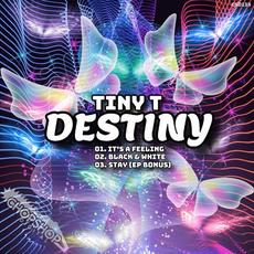 Destiny mp3 Single by Tiny T