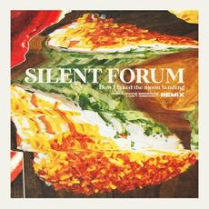 How I Faked the Moon Landing / Don't Overcook It mp3 Single by Silent Forum