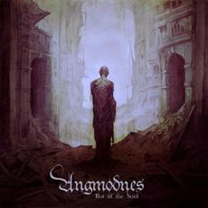 Rot of the Soul mp3 Album by Angmodnes