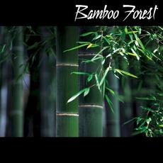 Bamboo Forest mp3 Album by Bamboo Forest