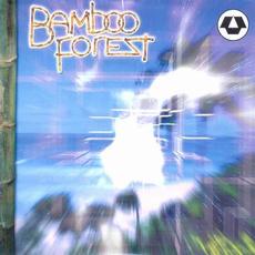 Random Future mp3 Album by Bamboo Forest