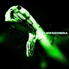 Queen Cobra mp3 Single by Artio