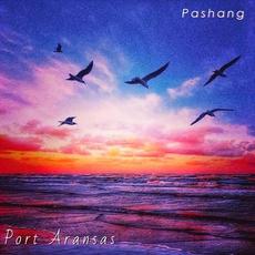 Port Aransas mp3 Single by Pashang 爬上