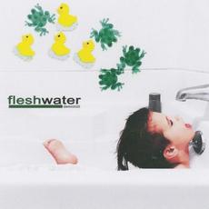Demo mp3 Album by Fleshwater