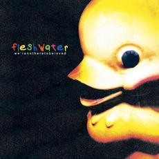 We’re Not Here to Be Loved mp3 Album by Fleshwater