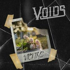 Victims mp3 Single by Voids