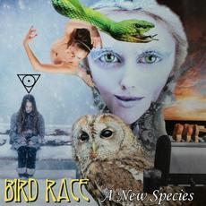 A New Species mp3 Album by Bird Race