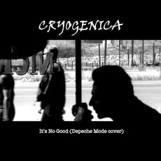 It’s No Good mp3 Single by Cryogenica