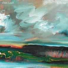 Cold Sea mp3 Album by Oisin Leech