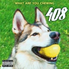 What Are You Chewing mp3 Album by 408