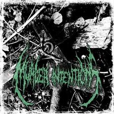 Excessive Display Of Human Nature mp3 Album by Murder Intentions