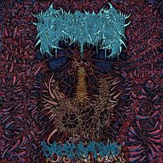 Decrepit Flesh Relic mp3 Album by Civerous