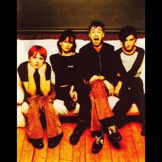 3rd July 1994 - Roskilde Festival - Denmark - FM mp3 Live by Elastica