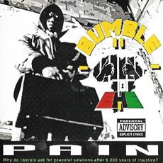 Pain mp3 Album by Bumble B.H.E