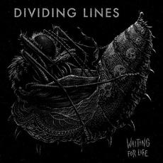 Waiting for Life mp3 Album by Dividing Lines