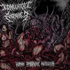 Human Embryonic Mutilation mp3 Album by Congenital Anomalies