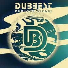 Dub Your Wrongs mp3 Single by Dubbest