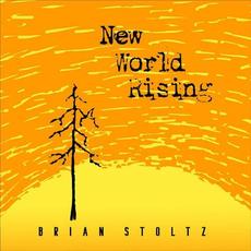 New World Rising mp3 Album by Brian Stoltz
