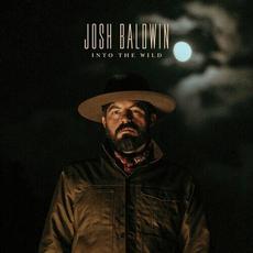 Into the Wild (Radio Version) mp3 Single by Josh Baldwin