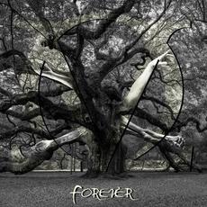 Forever mp3 Single by Velvet Ocean
