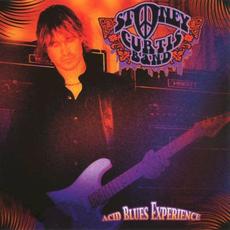 Acid Blues Experience mp3 Album by Stoney Curtis Band