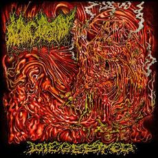 Diegested mp3 Album by Morgue Tar