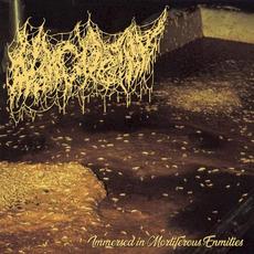 Immersed in Mortiferous Enmities mp3 Album by Morgue Tar